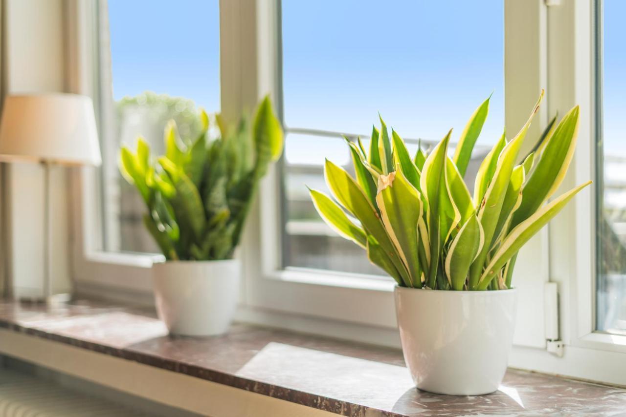 Fuths Penthouse 55 Apartment Antwerp